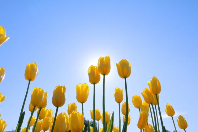 今週の新着求人5件を掲載しましたのサムネイル