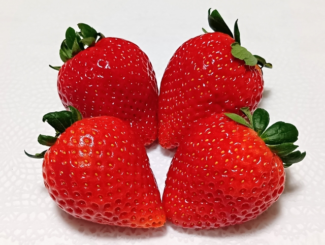 今週の新着求人5件を掲載しましたのサムネイル