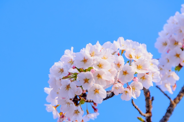 6件の新着求人を掲載しましたのサムネイル